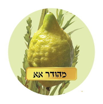 MEHUDAR ALEF ALEF SET